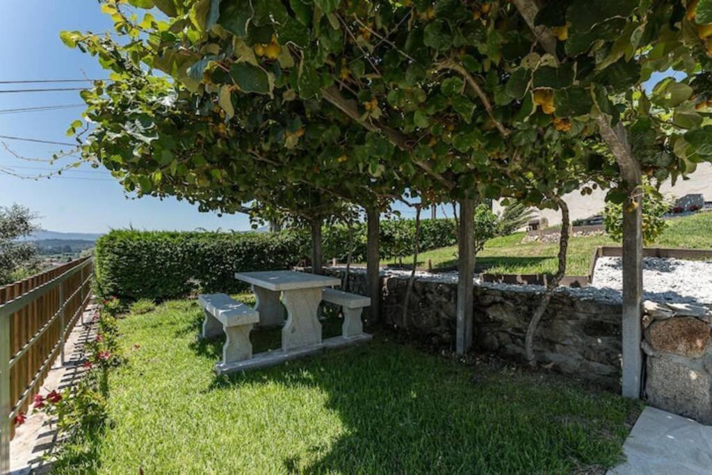 Fernandes Guest House Bright Private Suite Ponte de Lima Buitenkant foto